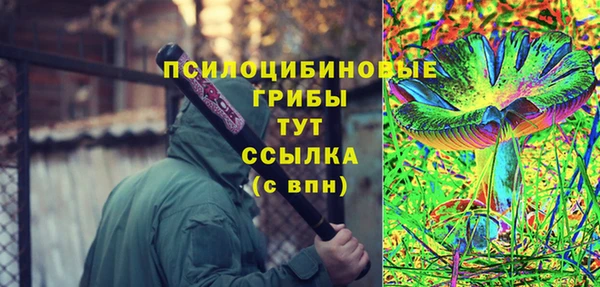гашик Белоозёрский