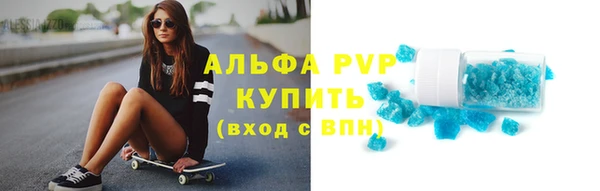 стаф Белокуриха