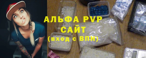 стаф Белокуриха
