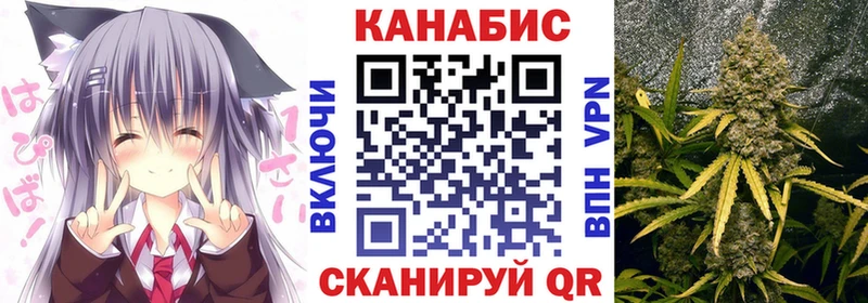 Бошки марихуана индика  Петрозаводск 